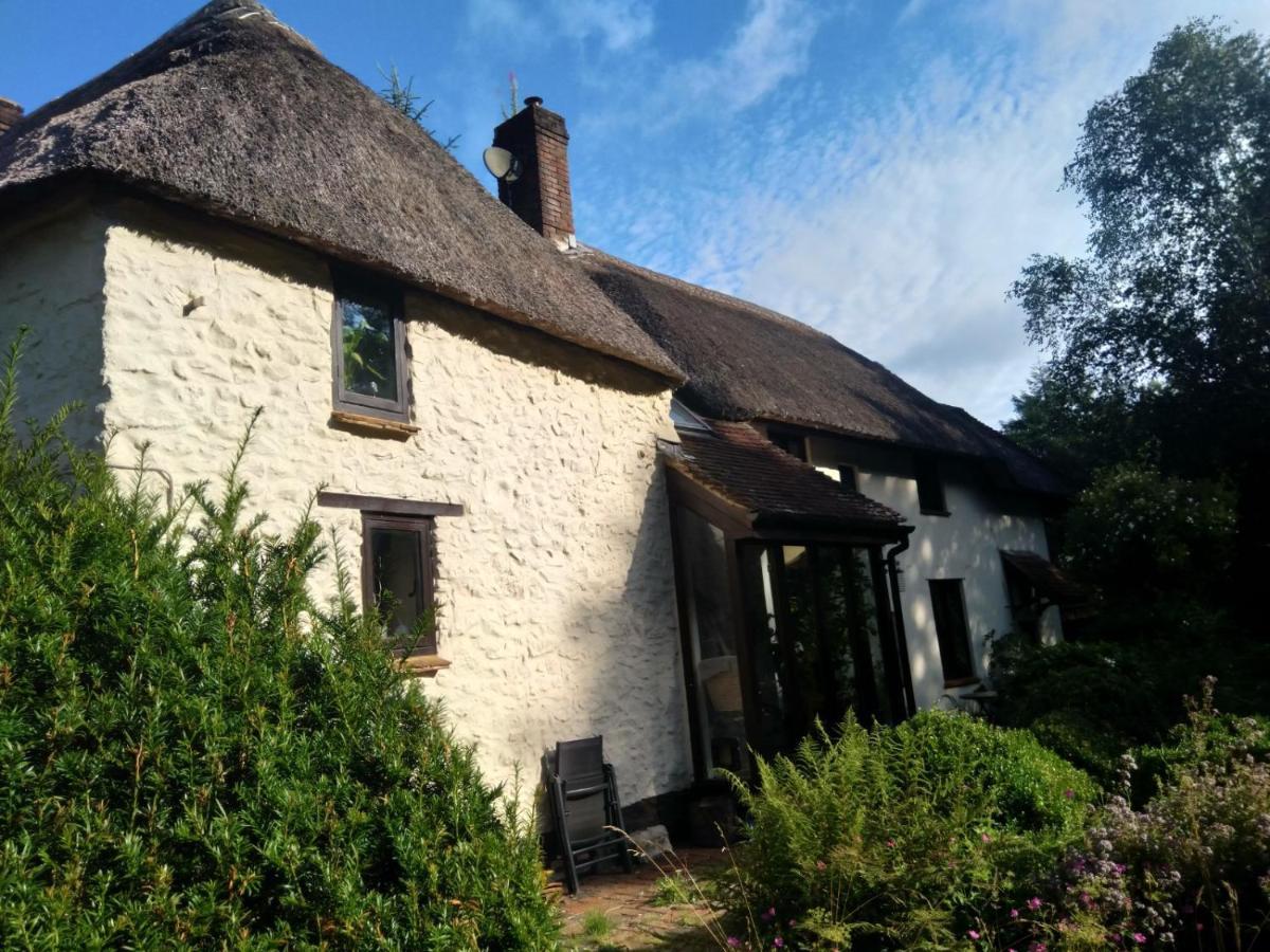 The Woodstore Dunkeswell Exterior photo